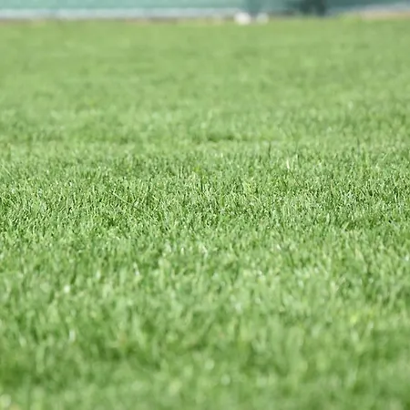 Rekreant Bešeňová